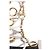 Bailarinas Giuseppe Zanotti de cuero blanco - vista 3