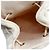 Roger Vivier Ivory Beaver Backpack with Crystal Embellishment Beige - view 6