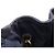 Borsa Tote 2-Way Prada CANAPA Blu navy - vista 9