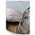 Mocassini Loro Piana Summer Walk in suede beige - vista 15