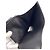Céline Celine Small Flap Wallet Triomphe Tri-fold Leather Schwarz - vista 5