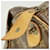 Louis Vuitton Boston Monogram Keepall 50 Marrone - vista 10