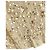 Falda midi adornada Miu Miu en Beige - vista 5