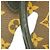 Borsa Tote Louis Vuitton Monogram Tuileries Marrone - vista 6