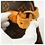 Borsa Tote Orizzontale Louis Vuitton Monogram Batignolles Marrone - vista 9