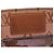Borsa trasparente Louis Vuitton marrone - vista 15