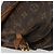 LOUIS VUITTON Borsa a tracolla Monogram Saumur 30 M42256 LV Auth gh2324 Monogramma - vista 18