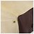Hermès Borsa Boston HERMES Victoria 50 Canvas Beige Brown Auth BA14733 Marrone - vista 15