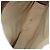 Borsa GUCCI GG Canvas Beige Auth 196557 - vista 11
