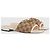Gucci Sandali Slide Matelassé - vista 9