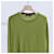 Loro Piana Strickpullover grün - Ansicht 2