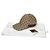 Gucci Web Original GG Canvas Baseball Cap KQWBG Mehrfarben - Ansicht 11