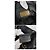Salvatore Ferragamo Ferragamo Vara Decoration Big Schultertasche Schwarz - vista 10