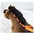 Hermès Nuovo Petit Cheval Hermes Horse Extra Small Multicolore - vista 7