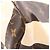 Borsa Tote Louis Vuitton Neverfull GM Marrone Beige - vista 8