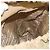 Zaino PRADA Nylon Beige Silver Auth 194982 Argento - vista 25