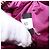 Miu Miu Pouch Leather Pink Gold Tone Auth 195447A Rosa - vista 12