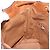 16 Céline Borsa a tracolla CELINE Macadam PVC Pelle Marrone Tono Oro Auth 195775 - vista 22