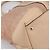 Borsa Tote GUCCI GG Canvas Rosa Tono Oro 257068 Auth BA14937 - vista 16