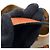Borsa a spalla Loewe Balloon Marrone - vista 14