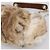 Borsa a tracolla con catena BURBERRY Pelliccia Beige Gold Auth 196269A D'oro - vista 9
