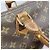 Borsa Louis Vuitton Monogram Speedy 30 Marrone - vista 7