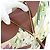LOEWE x Studio Ghibli Spirited Away Hammock Small Bag Canvas Brown Auth 167469SM Marrone - vista 23