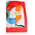 Hermès Carré multicolore  - vista 2