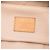 Louis Vuitton Brown Monogram Nice Nano Vanity Case Marrone - vista 5