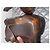 Gucci Brown Leather Chelsea Boots - view 4