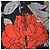 Mono Halter de Seda Diane von Furstenberg DVF para Mujer 4 Rojo Floral Pata Ancha Negro Roja Beige - vista 10