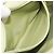 Borsa a tracolla CHANEL Matelassé in camoscio verde con CC tono oro Auth BA14888A - vista 22