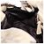 Borsa Tote Miu Miu Vitello Lux Leather Beige Gold Auth 198369M D'oro - vista 18