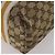 GUCCI Borsa Tote GG Canvas Sherry Line Set da 2 Beige Auth 193567 - vista 8