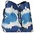 Néonoé Louis Vuitton Blue Monogram Escale Canvas NeoNoe MM - vista 8