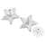 Orecchini Chanel Cosmo Star Bianco  - vista 3