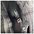 Sneaker alte Balmain B-Bold in poliestere nero - vista 14
