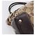 Borsa GUCCI GG Canvas GG crystal Coated Canvas Beige Gold 223964 Auth 197056 D'oro - vista 13