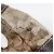Borsa GUCCI GG Canvas GG crystal Coated Canvas Beige Gold 223964 Auth 197056 D'oro - vista 14