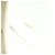 Borsa a tracolla CHANEL Matelasse con catena in pelle bianca CC Auth 77469 Bianco - vista 12