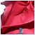 Hermès Borsa a tracolla HERMES Amedaba Cabas Do Canvas Rossa Auth bs26182 Rosso - vista 17