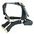 Gucci Leather Dog Harness Black