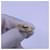 Autre Marque Bvlgari Ring Golden  - Ansicht 5