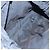 Pequin Borsa a Tracolla FENDI Pecan Canvas Pak Peking Nylon Argento Nero Auth 196280M - vista 10