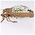 Borsa a tracolla con coulisse GUCCI Flora Canvas White Beige Auth BA14894A Bianco - vista 5