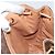 Céline CELINE Macadam Canvas Backpack PVC Leather Brown Gold - vista 22