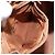 Céline CELINE Macadam Canvas Backpack PVC Leather Brown Gold - vista 25