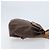 Céline CELINE Macadam Canvas Backpack PVC Leather Brown Gold - vista 4