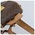Céline CELINE Macadam Canvas Backpack PVC Leather Brown Gold - vista 7