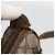 GUCCI GG Supreme Web Sherry Line Bag PVC Beige Gold 164 02 077 - vista 16